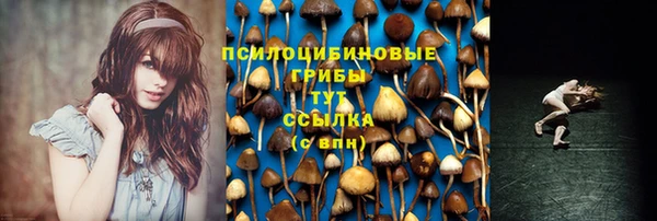 крисы Карталы