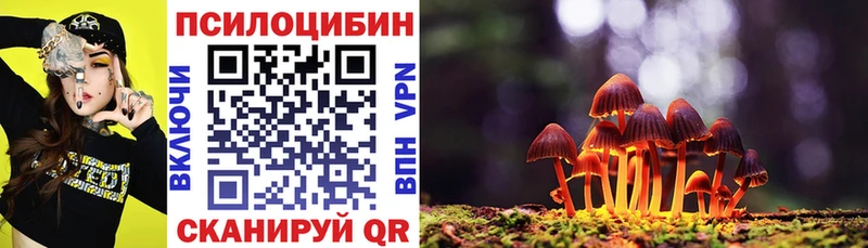 Купить где  Клин  Галлюциногенные грибы Cubensis 
